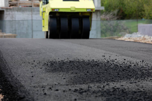 Best Custom Driveway Pavers  in Miami Gardens, FL